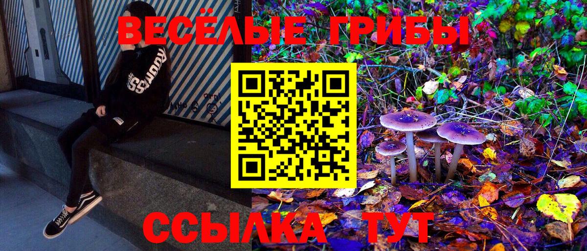 Псилоцибиновые грибы ЛСД  Вход с VPN  Удомля 