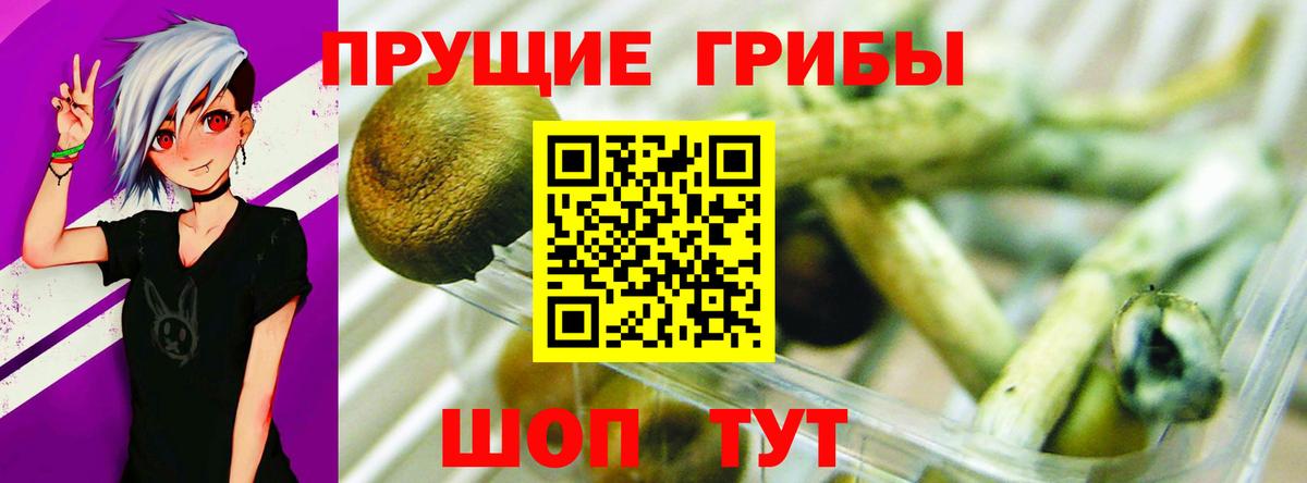 Псилоцибиновые грибы прущие грибы Удомля