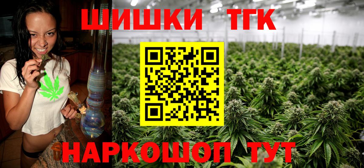 Бошки Шишки план Удомля